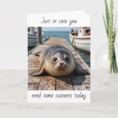 Just in Case You Need some Cuteness Today | Seal カード (正面)