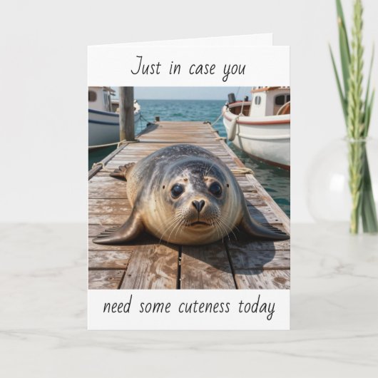 Just in Case You Need some Cuteness Today | Seal カード (正面)