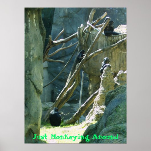 Just Monkeying のまわりに ポスター (正面)