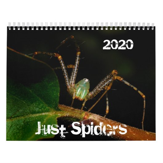 Just Spidersカレンダー， 2020 カレンダー (カバー)