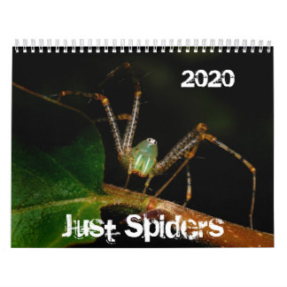 Just Spidersカレンダー, 2020 カレンダー