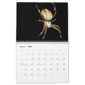 Just Spidersカレンダー， 2020 カレンダー (3月 2027)