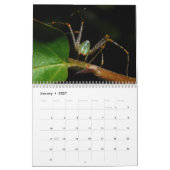 Just Spidersカレンダー， 2020 カレンダー (1月 2027)