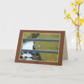 "Just Stumbled On This" 5" x 7"カード（封筒つき） カード (黄色い花)