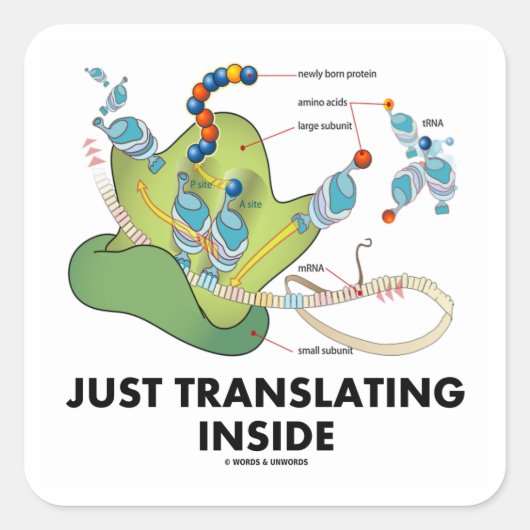 Just Translating Inside (Protein Synthesis) スクエアシール (正面)