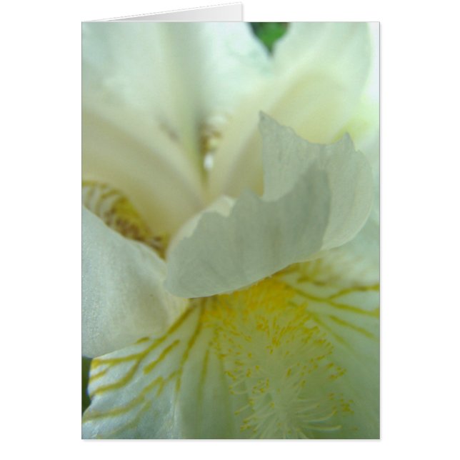 juste deのダフ屋 (正面)