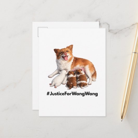 Justice for Wang Wang ポストカード (正面/裏面インサイチュ)