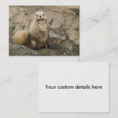 Juvenh Steller Sea Lion – 名刺 (正面/裏面)