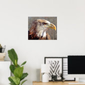 Juvenile American Bald Eagle ポスター (ホームオフィス)