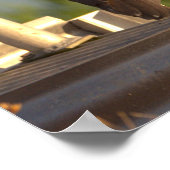 Juvenile Night Heron Photo Poster ポスター (角)