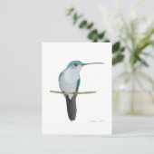 Juvenile Ruby-throated Hummingbird ポストカード (スタンド正面)