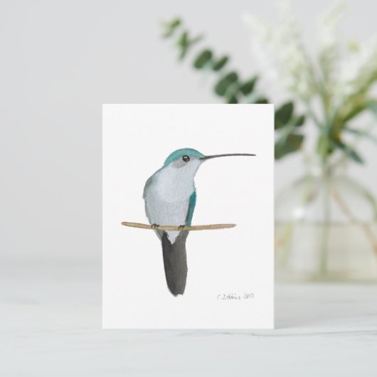 Juvenile Ruby-throated Hummingbird ポストカード (スタンド正面)