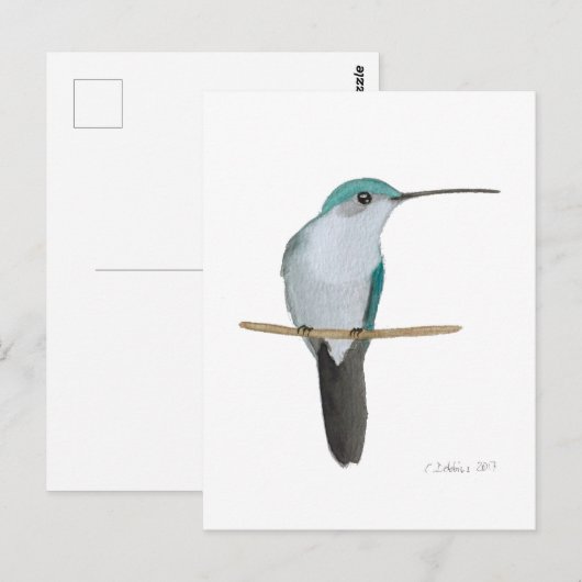 Juvenile Ruby-throated Hummingbird ポストカード (正面/裏面)