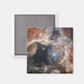 JWSTのタランチュラ星雲の画像 マグネット (正面/裏面)
