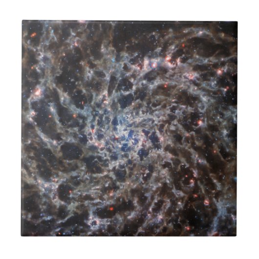 JWSTの銀河系IC5332のボーン タイル (正面)