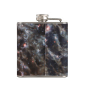 JWSTの銀河系IC5332のボーン フラスク (裏面)