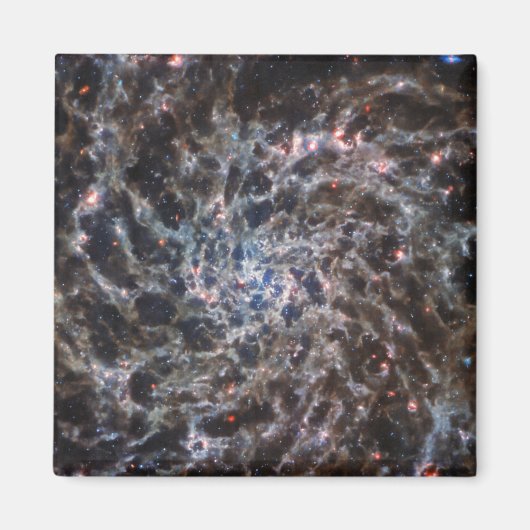 JWSTの銀河系IC5332のボーン マグネット (正面)