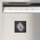 JWSTジェームズウェッブ望遠鏡サザンリングや輪星雲 マグネット (インサイチュ (食洗機))