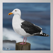 jz.birdsモーウェ ポスター (正面)