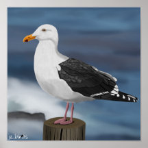 jz.birdsモーウェ