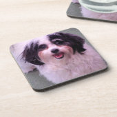 Kシースマイルのかわいい犬セット コースター (左側)