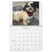 K最高の-CeeかわいいZuchon Dog 2021-2022 カレンダー (3月 2027)