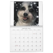 K最高の-CeeかわいいZuchon Dog 2021-2022 カレンダー (1月 2027)
