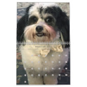 K最高の-CeeかわいいZuchon Dog 2021-2022 カレンダー (2月 2027)