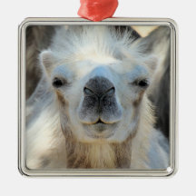 K2セラミックオーナメント