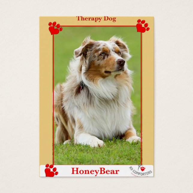 K9コンフォーターズセラピー犬 (正面)