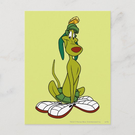 K9スマイル ポストカード (正面)