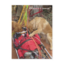 K9検索と救助？