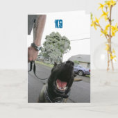 K9空白のな挨拶状 カード (黄色い花)