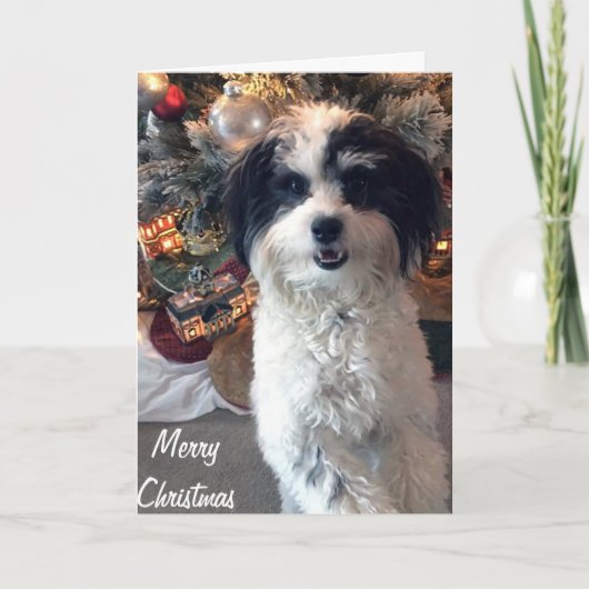 K-Ceeクリスマスカード、メリークリスマス カード (正面)