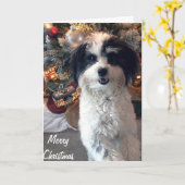 K-Ceeクリスマスカード、メリークリスマス カード (黄色い花)