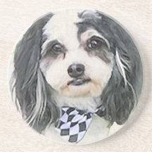 K-Ceeポートレート