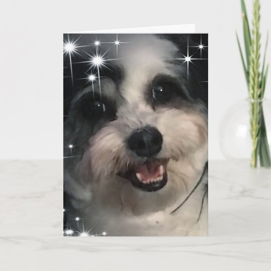 K-Cee Starsありがとう カード (正面)