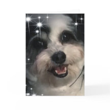 K-Cee Starsありがとう