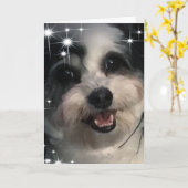 K-Cee Starsありがとう カード (黄色い花)