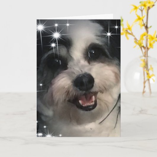 K-Cee Starsありがとう カード (黄色い花)