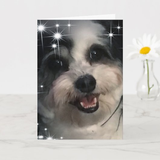 K-Cee Starsありがとう カード (小さな植物)