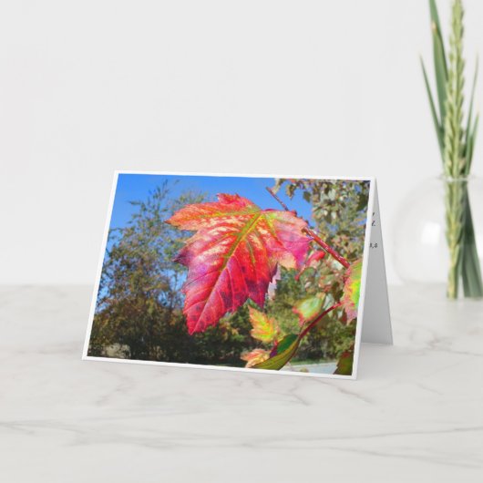 K&K – 同情カード カード (正面)