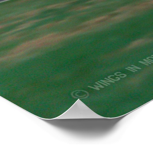 KA-6D侵入者 ポスター (角)