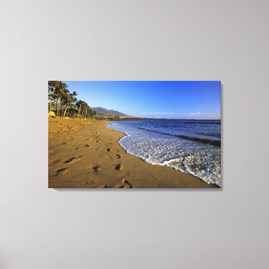 Kaanapaliビーチ，マウイ，ハワイ，アメリカ キャンバスプリント (正面)