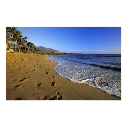 Kaanapaliビーチ，マウイ，ハワイ，アメリカ フォトプリント (正面)