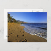 Kaanapaliビーチ，マウイ，ハワイ，アメリカ ポストカード (正面/裏面)