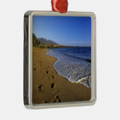 Kaanapaliビーチ，マウイ，ハワイ，アメリカ メタルオーナメント (右)