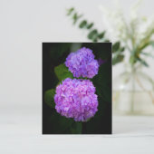 Kaart met een foto van mooie paars rose hortensia ポストカード (スタンド正面)