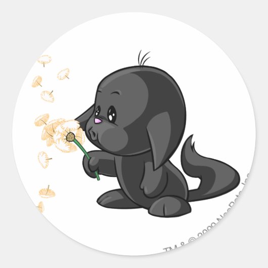 Kacheekの影 ラウンドシール (正面)