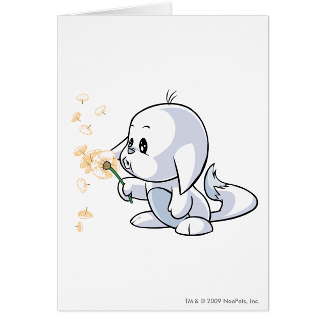 Kacheekの白 (正面)